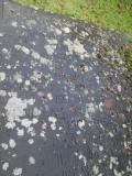 image of grave number 607368